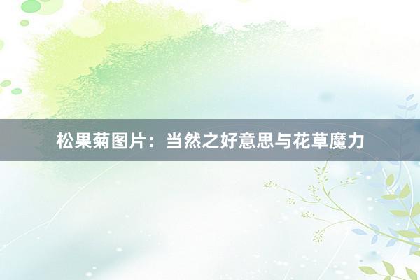 松果菊图片：当然之好意思与花草魔力
