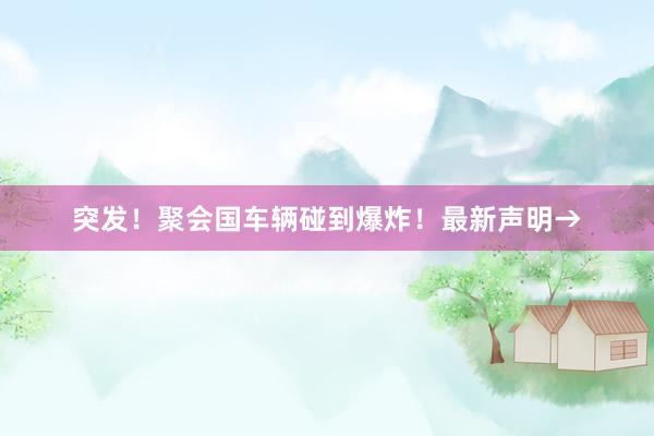突发！聚会国车辆碰到爆炸！最新声明→