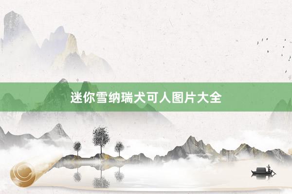 迷你雪纳瑞犬可人图片大全