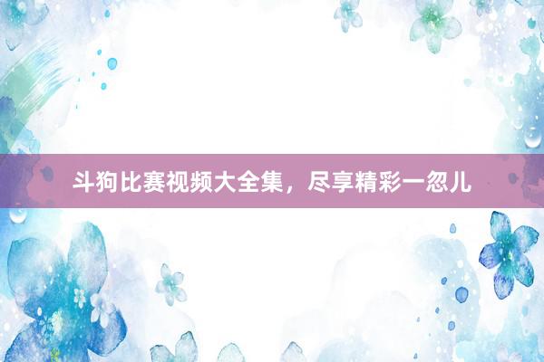 斗狗比赛视频大全集，尽享精彩一忽儿