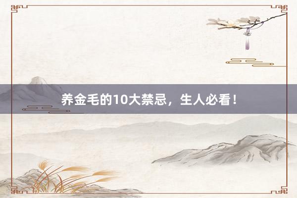 养金毛的10大禁忌,生人必看!